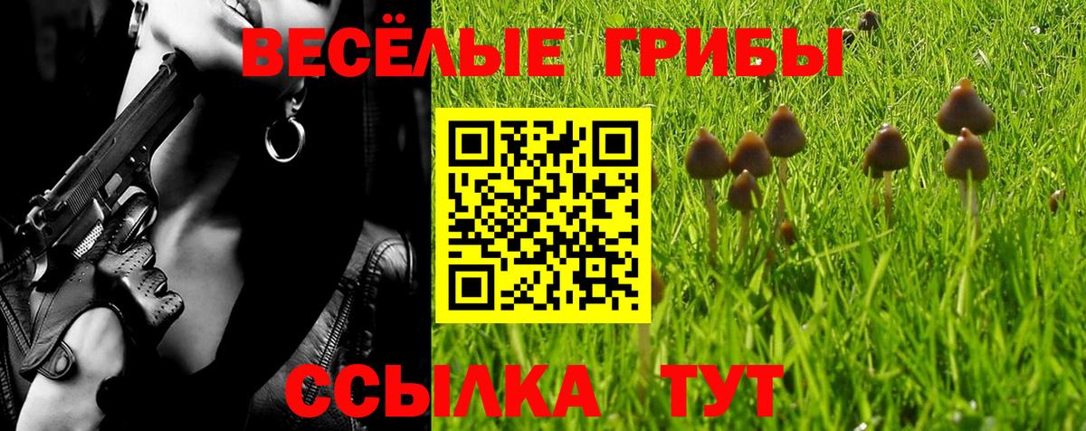 Большой Камень  Псилоцибиновые грибы мухоморы  Вход с VPN 
